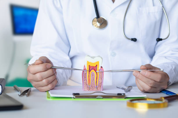 Best Dentist for Tooth Abscess  in Contoocook, NH